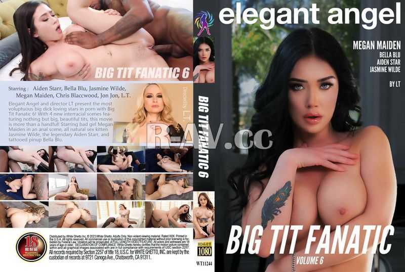 WT11244 | Big Tit Fanatic 6
